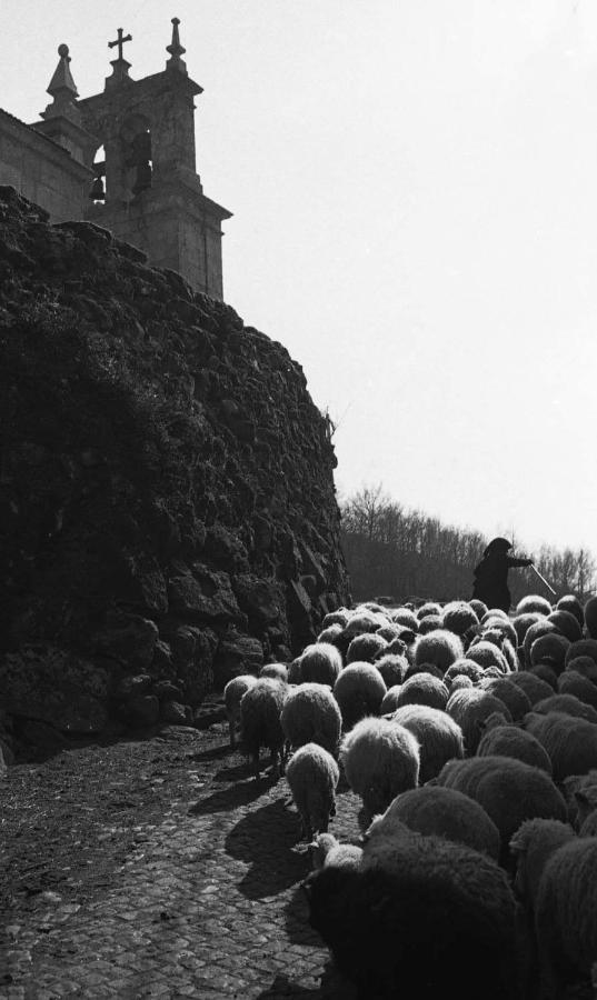 Вілла Pe Na Aldeia Outeiro  Екстер'єр фото