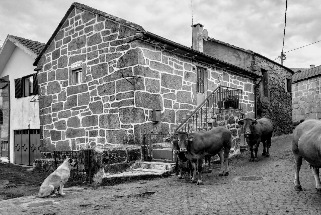 Вілла Pe Na Aldeia Outeiro  Екстер'єр фото